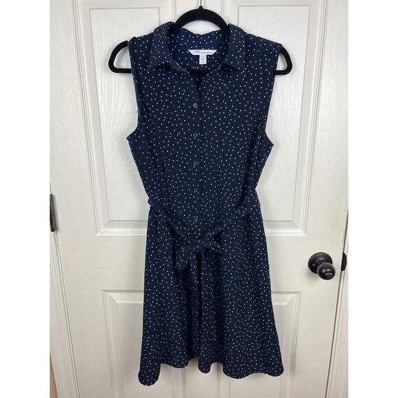 Popsugar Blue and White Collared Polka Dot Button Front Sleeveless Dress Medium - Picture 8 of 9